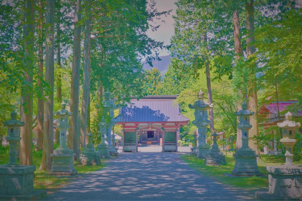 新緑の参道