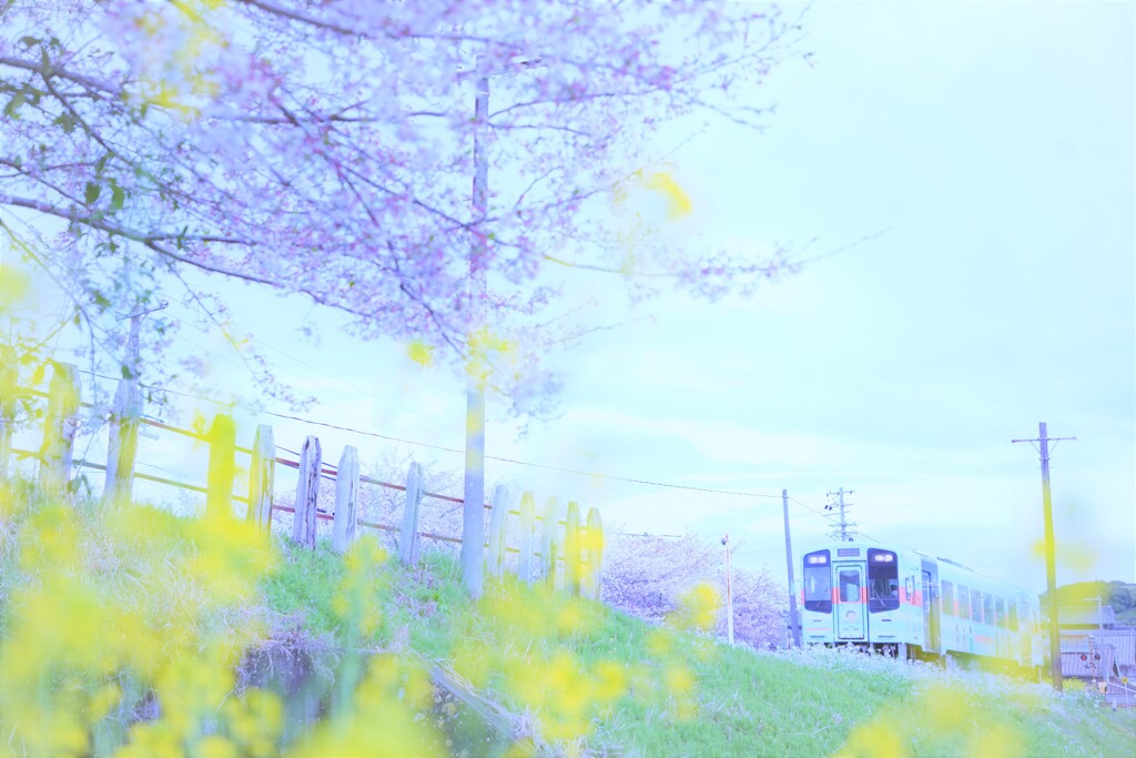 春はてんはま１