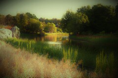 5月の夕刻の運河