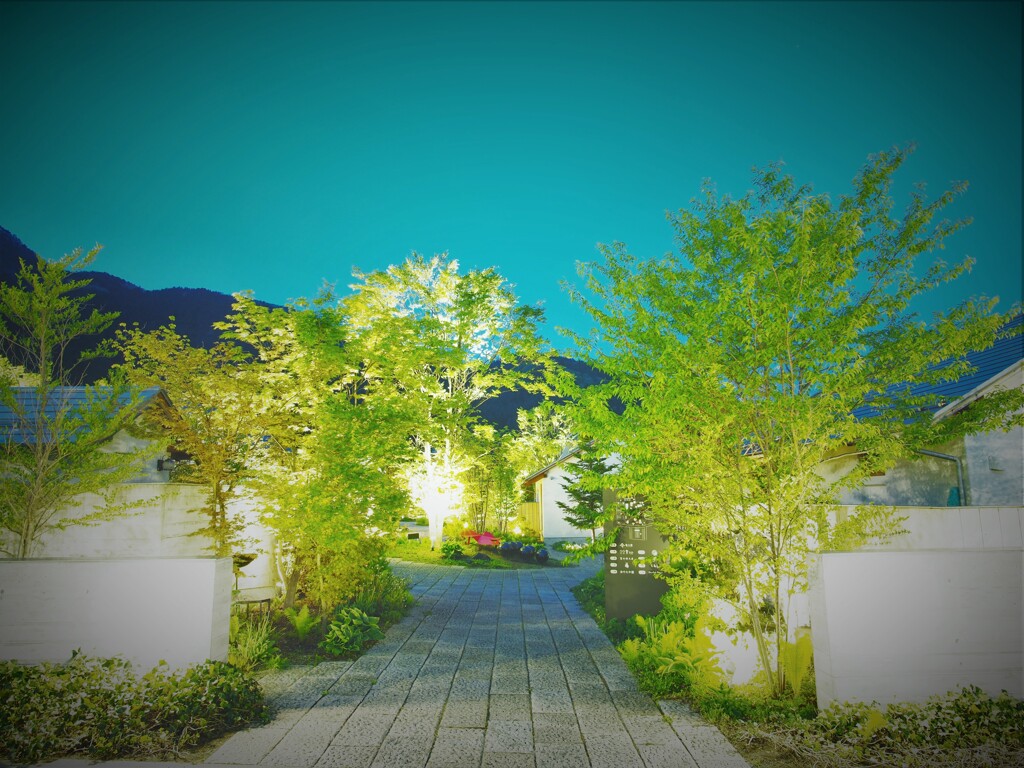 新緑のハナテラス