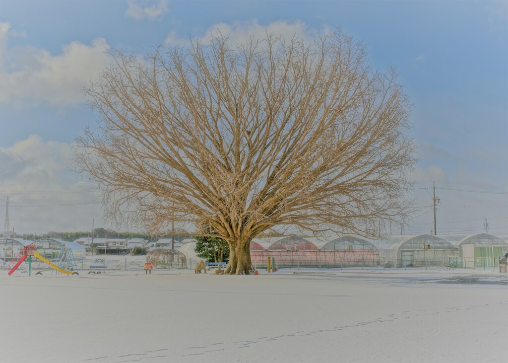 白い時（再アップ）