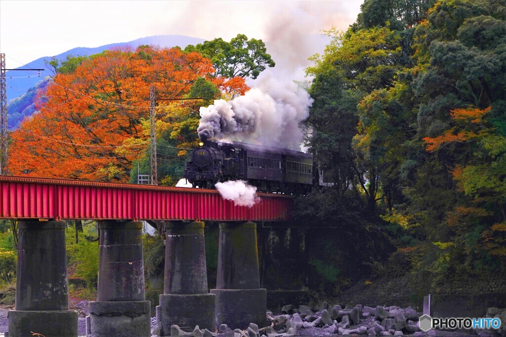 紅葉の橋を渡るSL