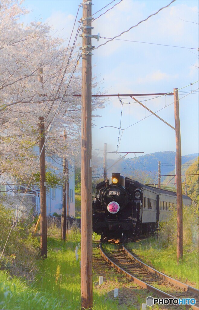 春のSL