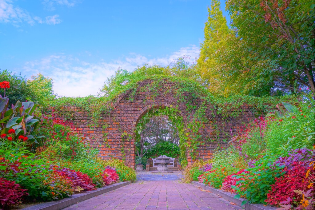 秘密の花園５