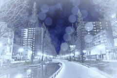 恋人達の散歩道　Winter blue