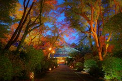 遠州の古刹　龍潭寺２