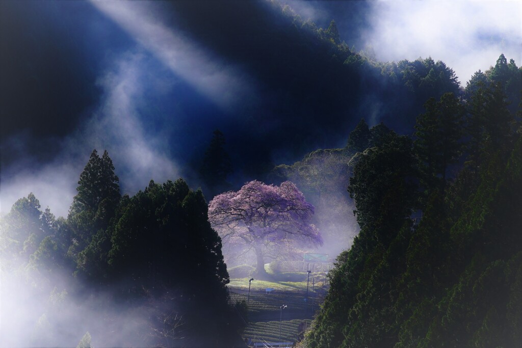 陽を浴びて１