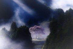 陽を浴びて１