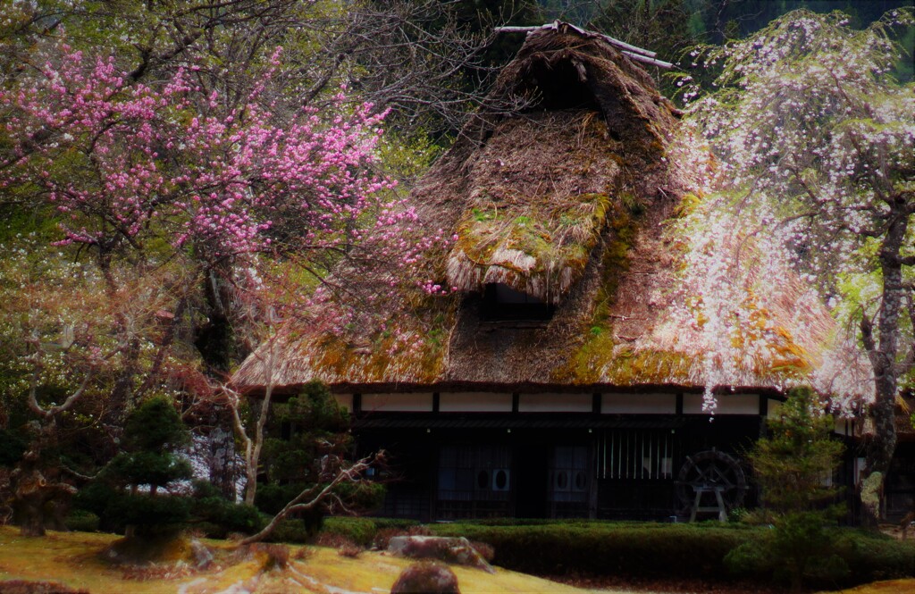 田舎の春