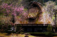 田舎の春