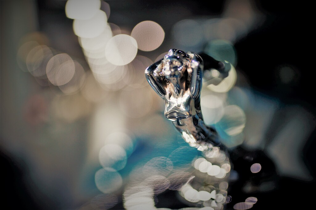 私を見て・・・