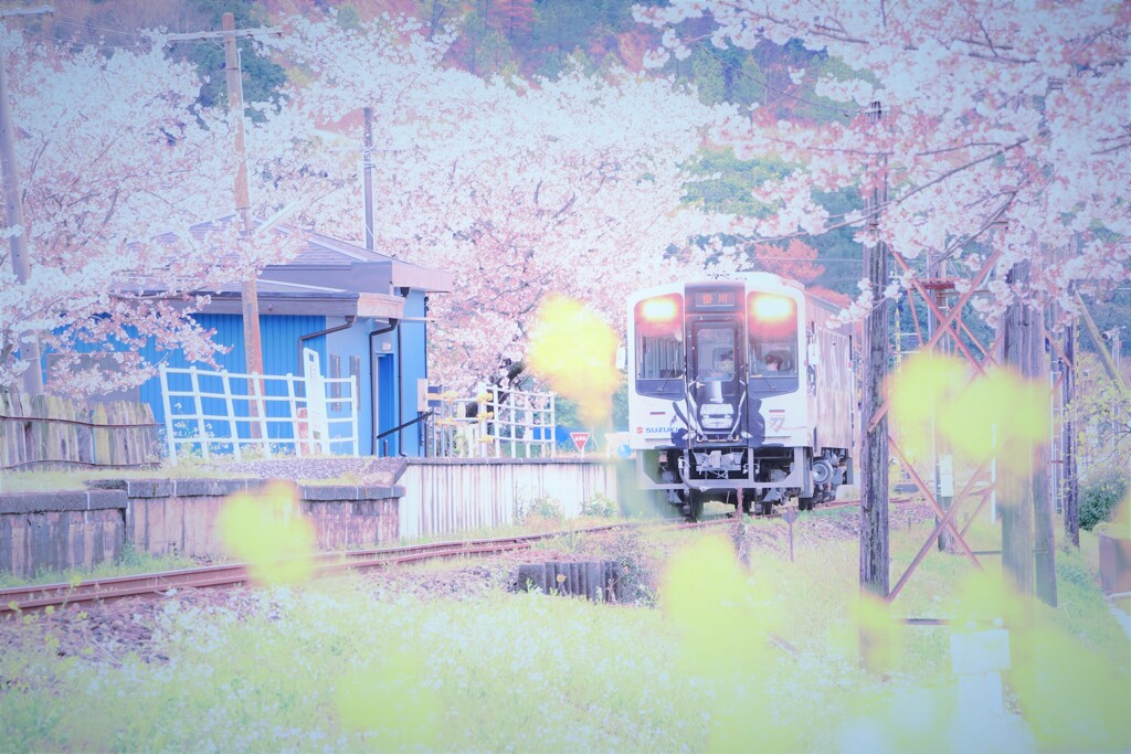 春はてんはま３