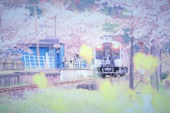 春はてんはま３