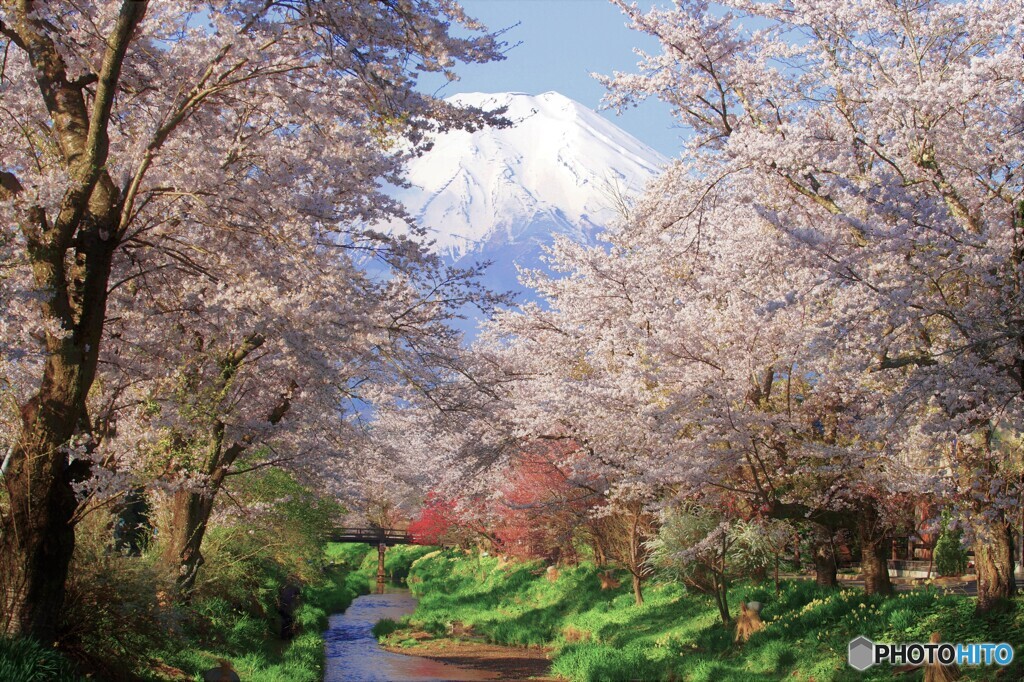 春の絶景