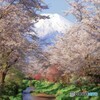 春の絶景