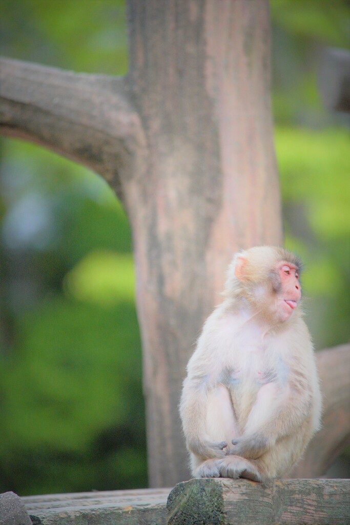 ♬愛をください。。。