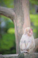 ♬愛をください。。。