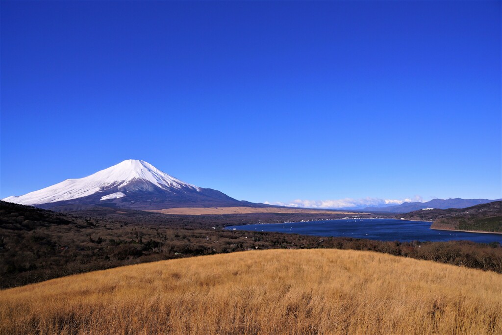 ぬけるような青い空の冬の朝