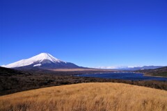 ぬけるような青い空の冬の朝