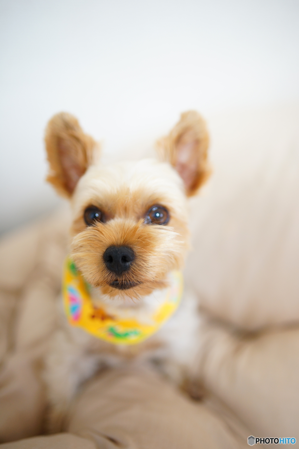 キラキラお目目