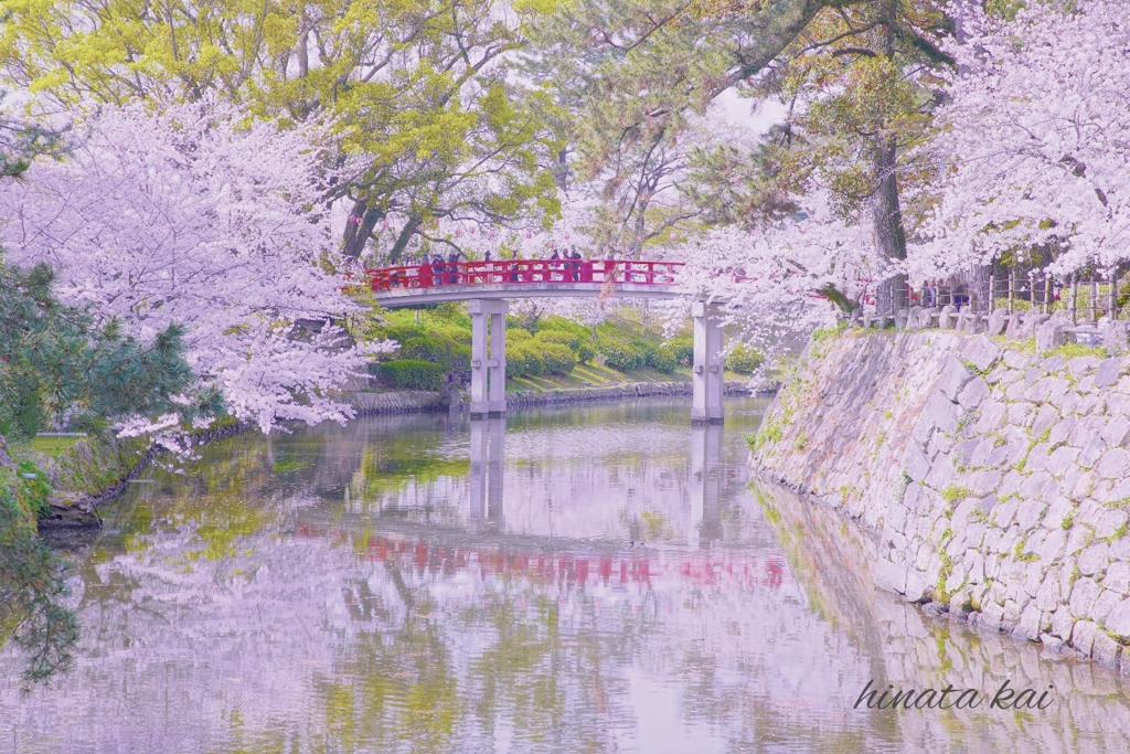 春香る橋