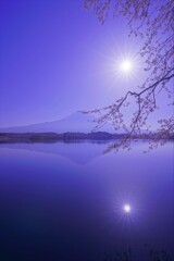 春のリフレクション