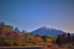 秋のコーデイネート