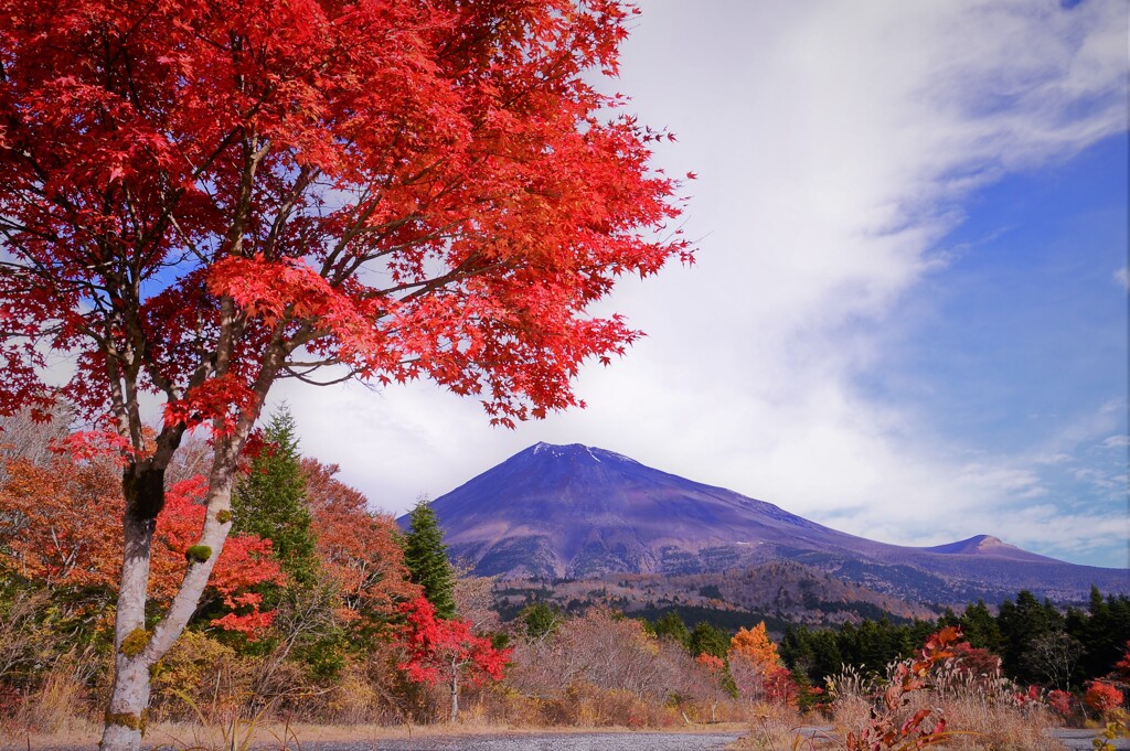 紅葉と富士山