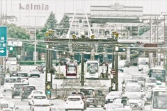 真夏のトリム１