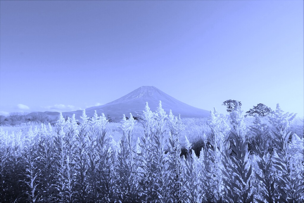 厄介なお客様　その２