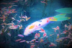 モネの池の彩２