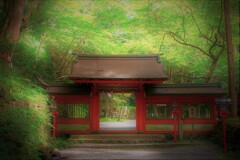 夏の貴船神社４