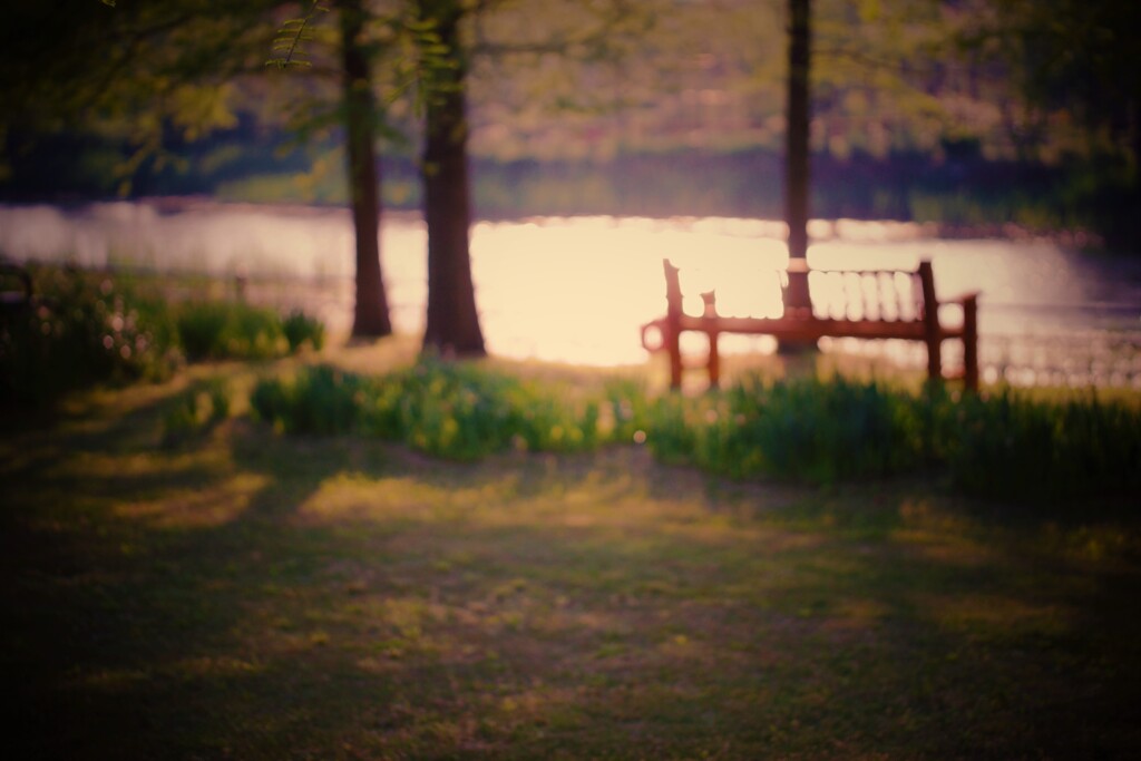 思い出が翳る琥珀色のベンチ