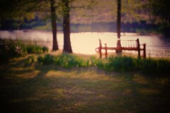 思い出が翳る琥珀色のベンチ