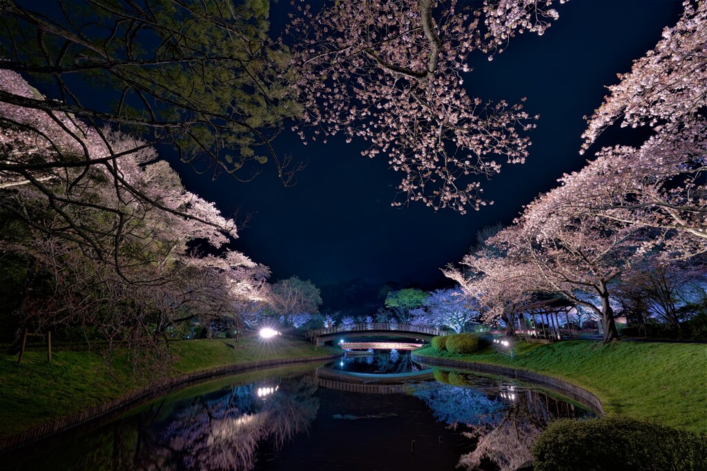 春の夢の続き１