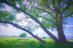 草原とブランコ