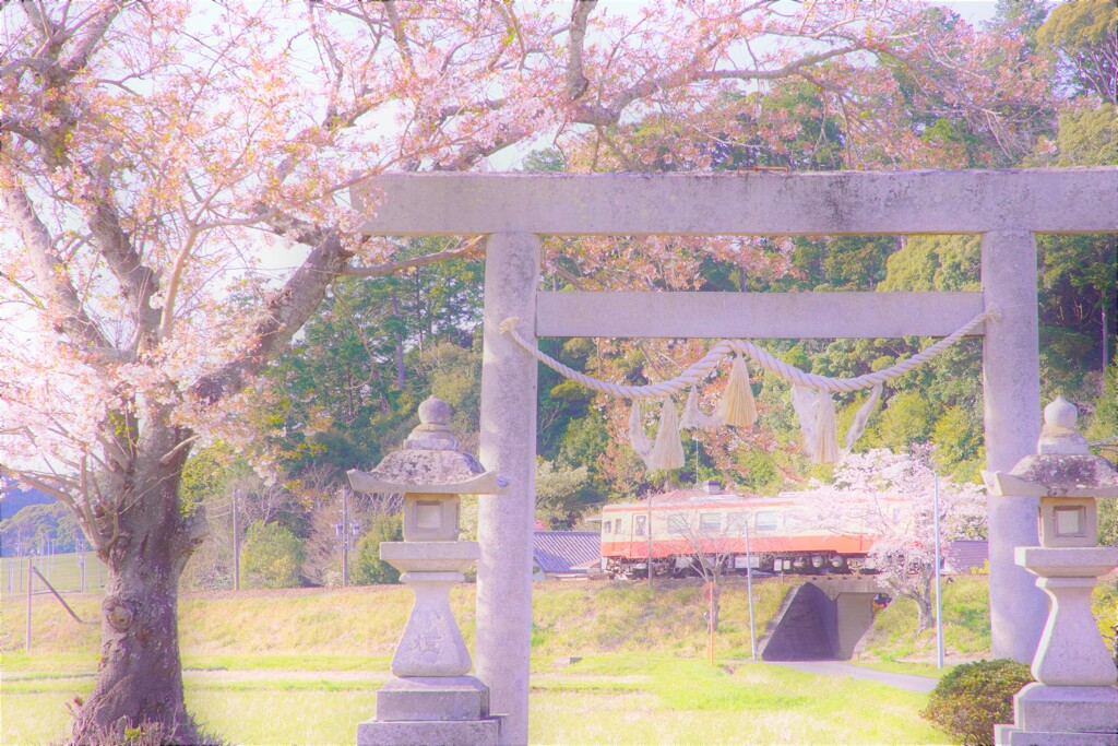 春はてんはま４