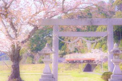 春はてんはま４