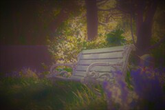 花の香りに包まれる夕刻のベンチ