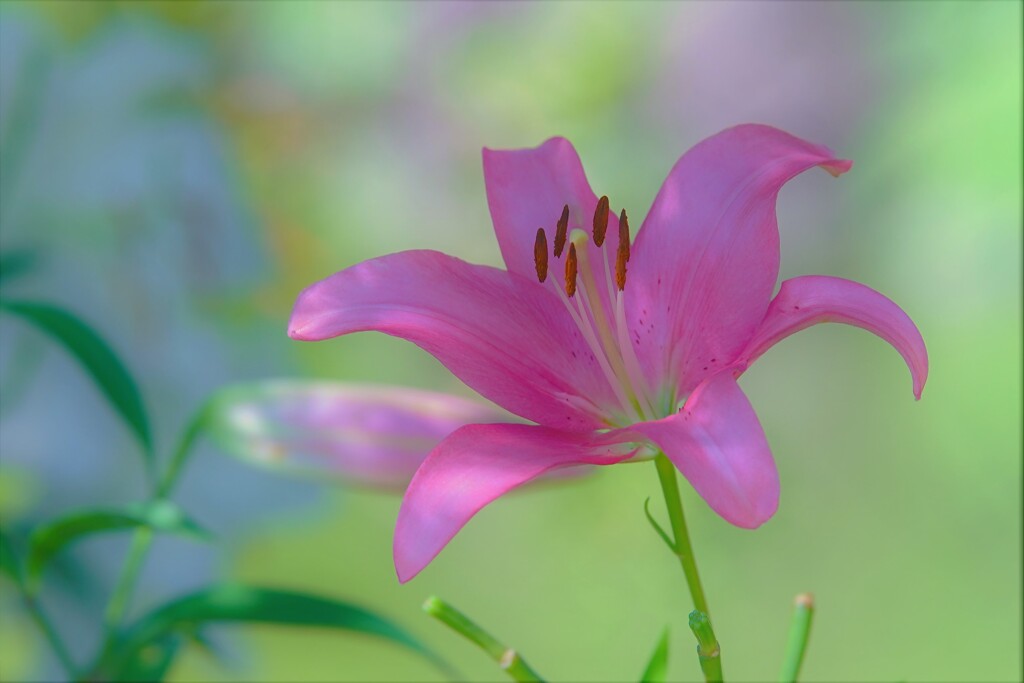 優しい光の中で