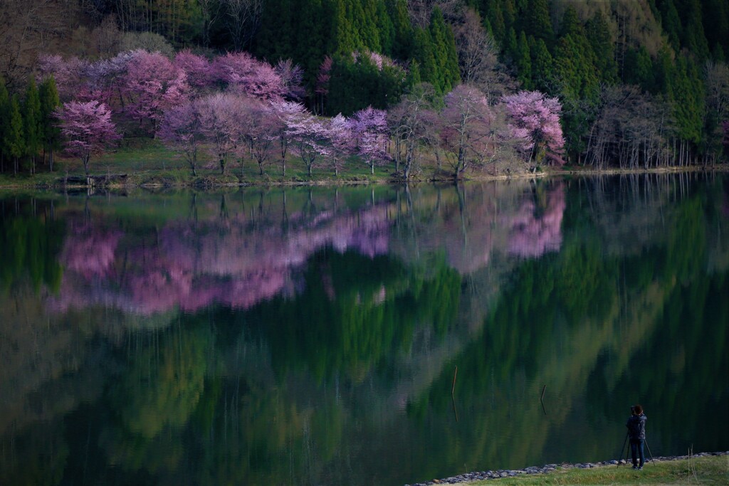 至福のフォトグラファー３