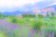 ６月の大石公園