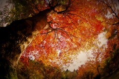 縁の下の力持ち