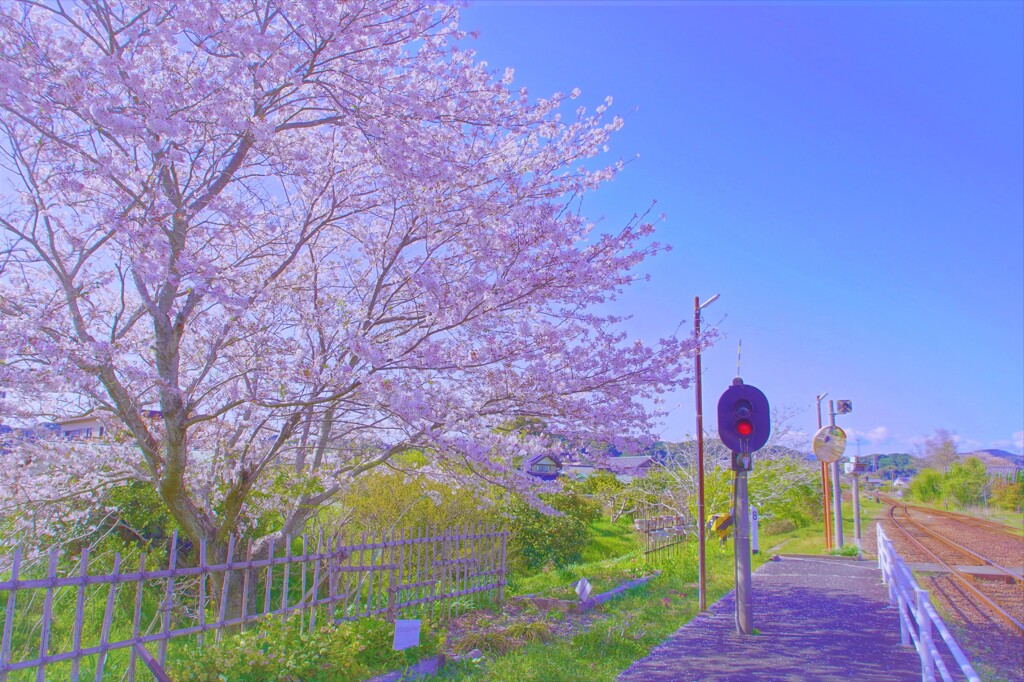 春の駅舎２