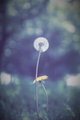 じいじ大好き！