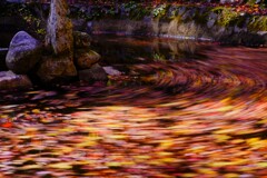 風とモミジの絵画３