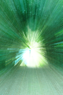 Lotta　ポトレ２