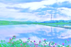 初夏の田んぼの水鏡