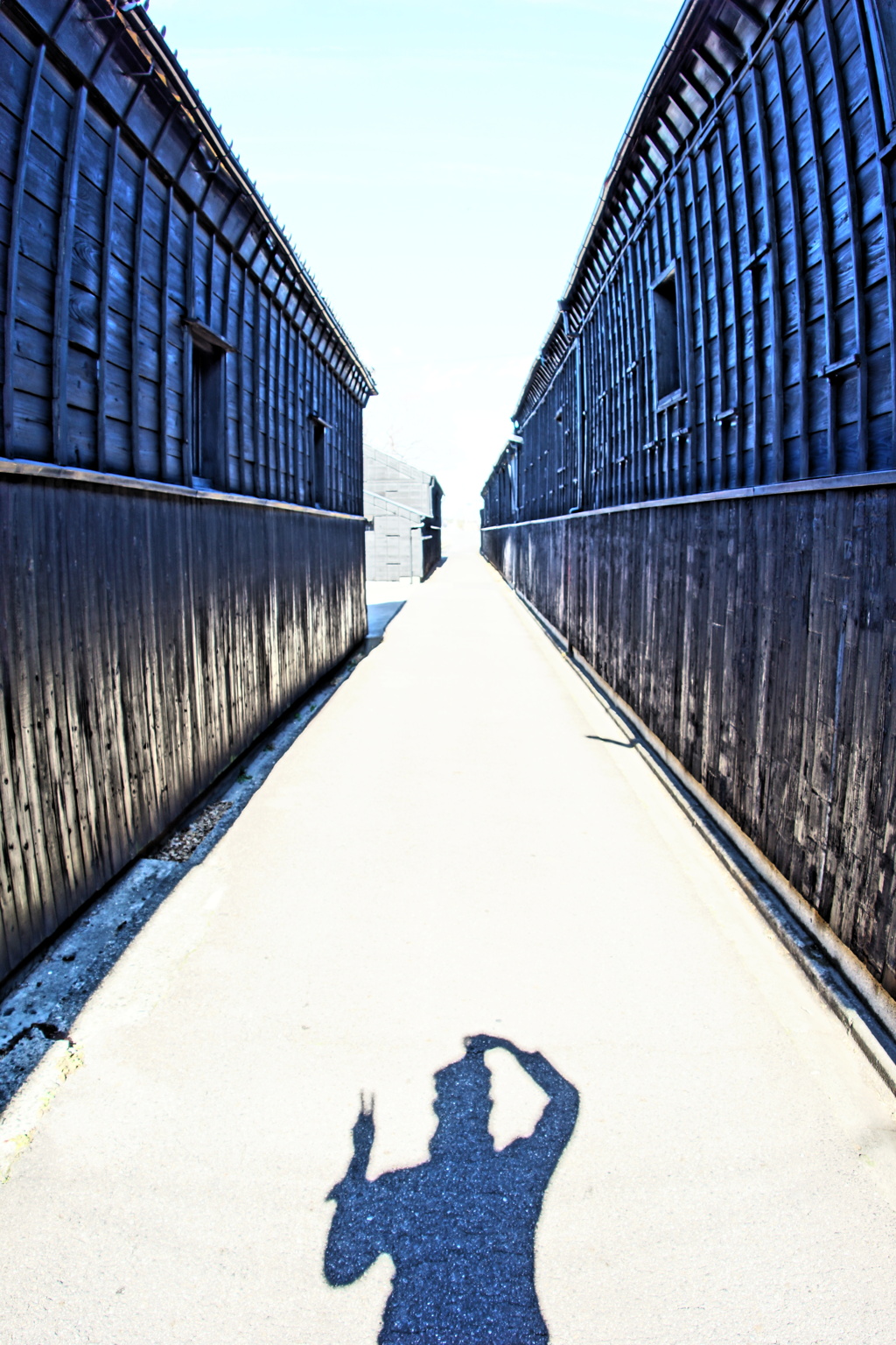 自己顕示欲(あふれ出す自己愛）