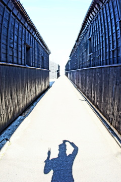 自己顕示欲(あふれ出す自己愛）